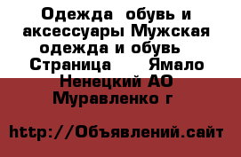 Одежда, обувь и аксессуары Мужская одежда и обувь - Страница 10 . Ямало-Ненецкий АО,Муравленко г.